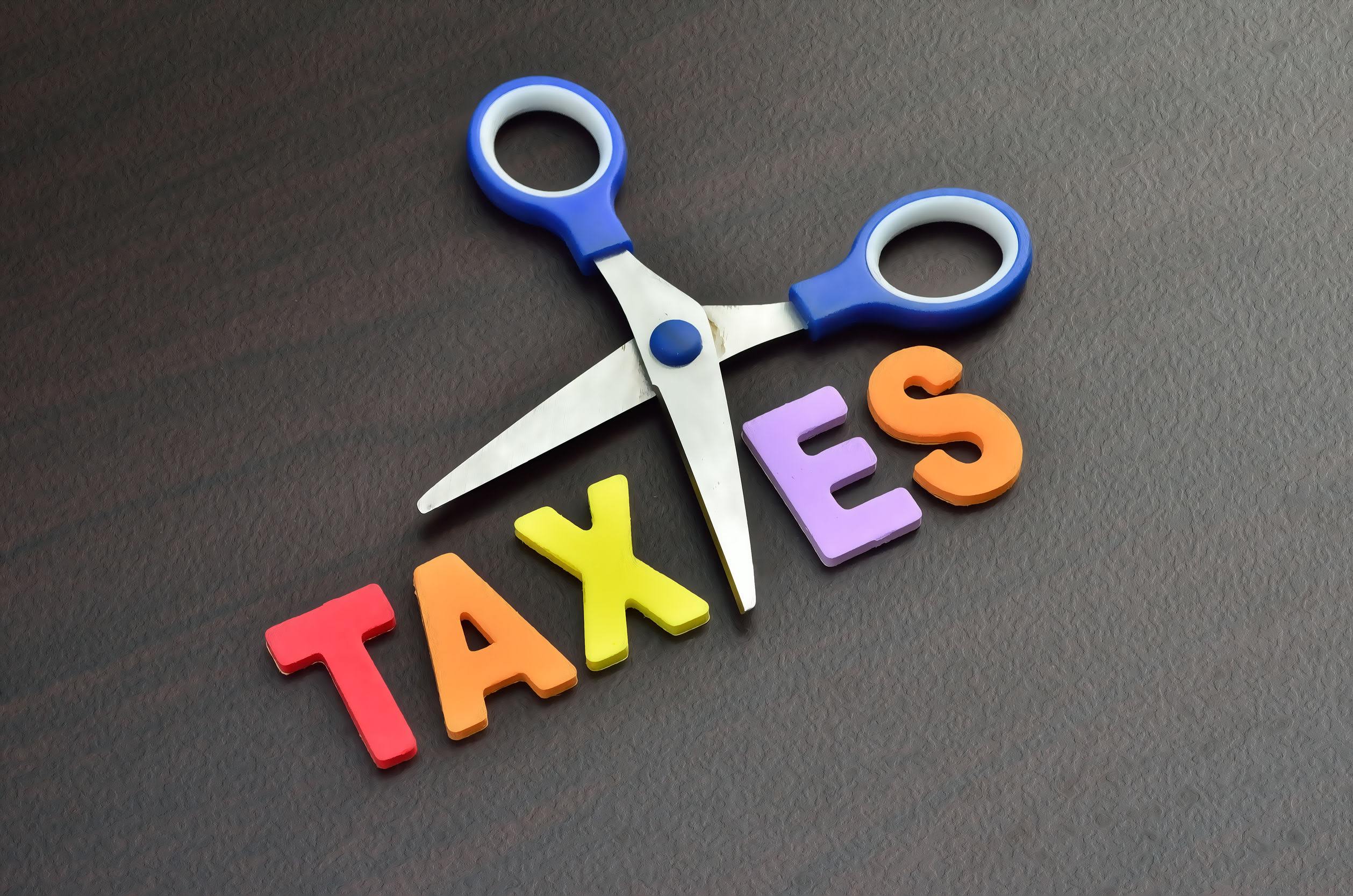 Professional Tax Savers Inc.: Service Image-0 Professional Tax Savers Inc.: Service Image-0